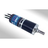 PLM-1010-19